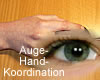 Auge-Hand Koordination